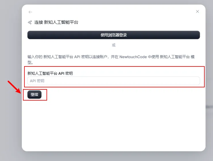 输入 API 密钥